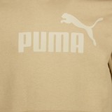 Essentials Big Logo heren hoodie beige