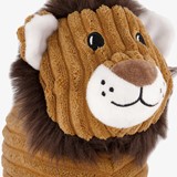 Kinder pantoffels leeuw