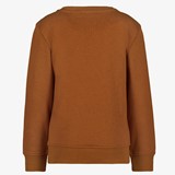 Jongens sweater bruin met tijger