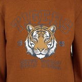 Jongens sweater bruin met tijger