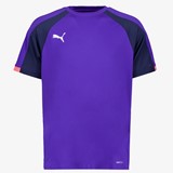 Puma individualLIGA heren sport T-shirt blauw