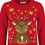 Kinder kersttrui met Rudolf