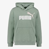 Puma ESS 2 Col Big Logo FL kinder hoodie groen