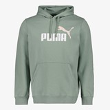 Puma Essentials 2 Color No. 1 Logo heren hoodie groen
