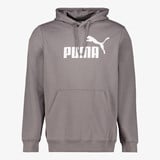 Puma Essentials 2 Color No. 1 Logo hoodie grijs