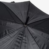 Grote paraplu zwart
