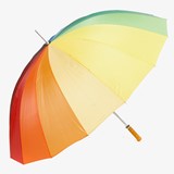 Regenboog paraplu