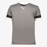 Puma Teamliga Jersey heren sport T-shirt grijs