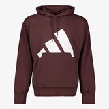 Adidas M BL FT heren hoodie bordeaux rood