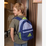 Classic Badge of Sport rugzak blauw 27L