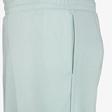 Ess 2 Color No. 1 heren short lichtgroen