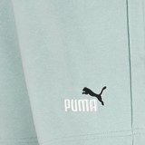 Ess 2 Color No. 1 heren short lichtgroen