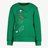 Jongens sweater met dino