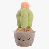 Pluche knuffelplant