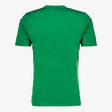 Tabela 23 heren sport T-shirt groen