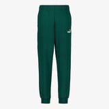 Puma Essentials 2 Color No. 1 Logo kinder joggingbroek groen