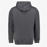 Essentials Small No. 1 Logo heren hoodie grijs