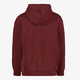 Essentials Small Logo kinder hoodie rood
