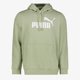 Puma Essentials 2 Color No. 1 Logo hoodie groen