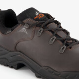 Heren wandelschoenen categorie A/B