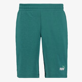 Puma Ess 2 Color No. 1 heren short groen