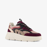 Blue Box dames dad sneakers bordeaux roze