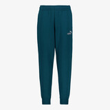 Puma ESS 2 Color No. 1 Logo kinder joggingbroek blauwgroen