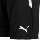 Teamliga heren sportshort