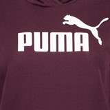 Essentials Big Logo dames hoodie