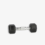 Hex Dumbbell 2 KG