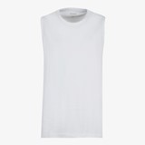 Heren singlet
