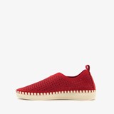 Daisy dames instappers rood