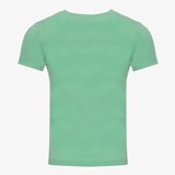 Jongens T-shirt met leeuw groen