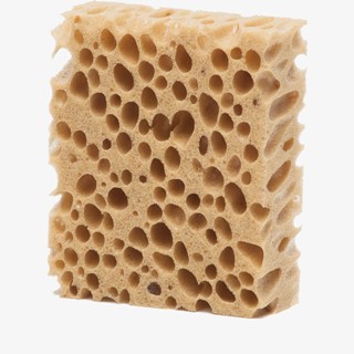 Scapino spons