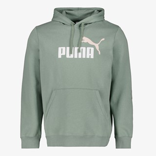 Puma Essentials 2 Color No. 1 Logo heren hoodie groen