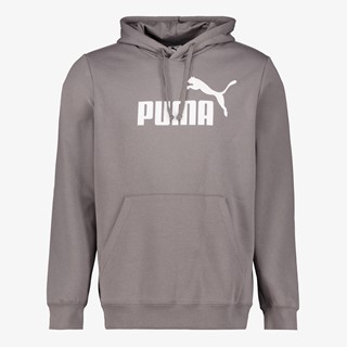 Puma Essentials 2 Color No. 1 Logo hoodie grijs