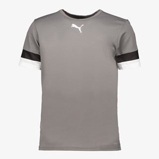 Puma Teamliga Jersey heren sport T-shirt grijs
