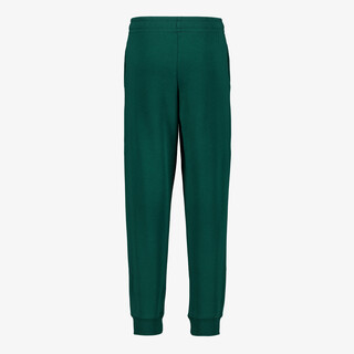 Puma Essentials 2 Color No. 1 Logo kinder joggingbroek groen