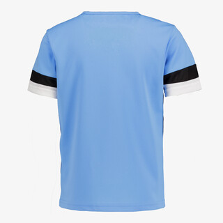 Puma teamRISE Jersey kinder voetbal T-shirt blauw