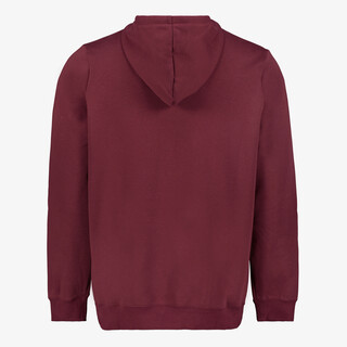 Puma Essentials Small Logo heren hoodie rood