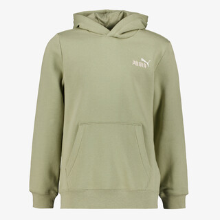 Puma ESS 2 Color Small NO. 1 Logo kinder hoodie groen