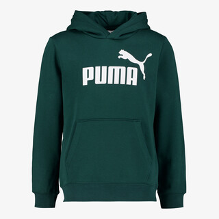 Puma Essentials No. 1 Logo kinder hoodie groen
