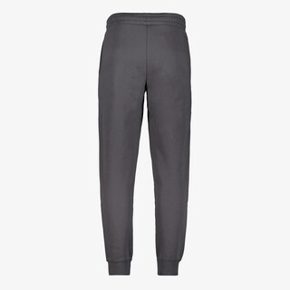 Puma ESS 2 Color NO. 1 Logo FL CL heren joggingbroek grijs