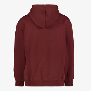 Puma Essentials Small Logo kinder hoodie rood