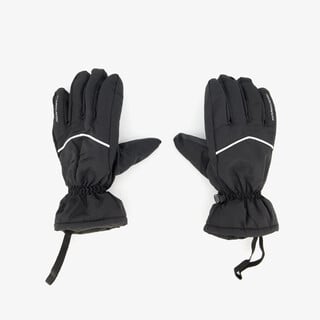 Mountain Peak heren skihandschoenen zwart