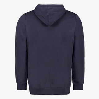 Puma Essentials 2 Color No. 1 Logo hoodie blauw