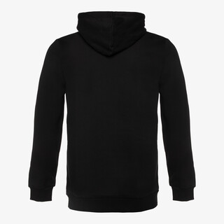 Puma Essentials Big Logo heren hoodie zwart