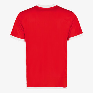 Puma Teamliga Jersey heren sport T-shirt rood