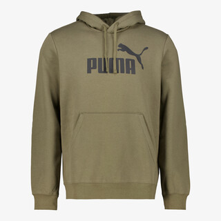 Puma Essentials 2 Color No. 1 Logo hoodie groen