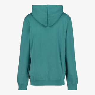 Puma ESS No. 1 Logo 2 heren hoodie groen